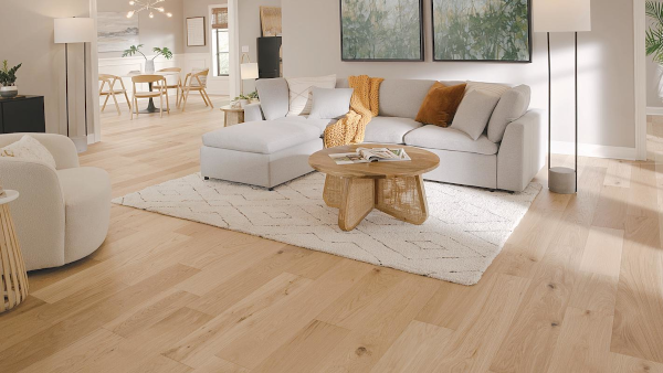 Modern living room flooring